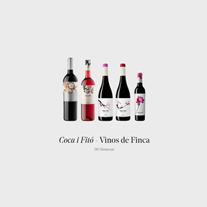 coca-i-fito-cata-presentacion-sala-de-catas-bouquet-by-quiero-delicatessen-villena-vino-wine-catas-