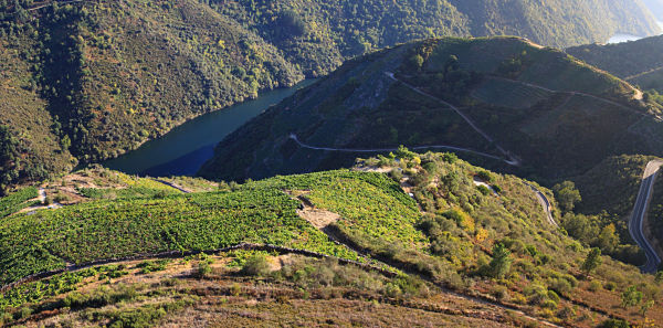 FINCA MILLARA QUIERO DELICATESSEN VILLENA ALICANTE