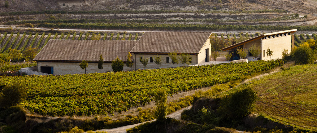 Valenciso el rioja más moderno de los clasicos - Quiero Delicatessen - Villena