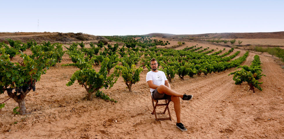 Frontonio - Bodega - Bodegas - Quiero Delicatessen - Villena - Alicante