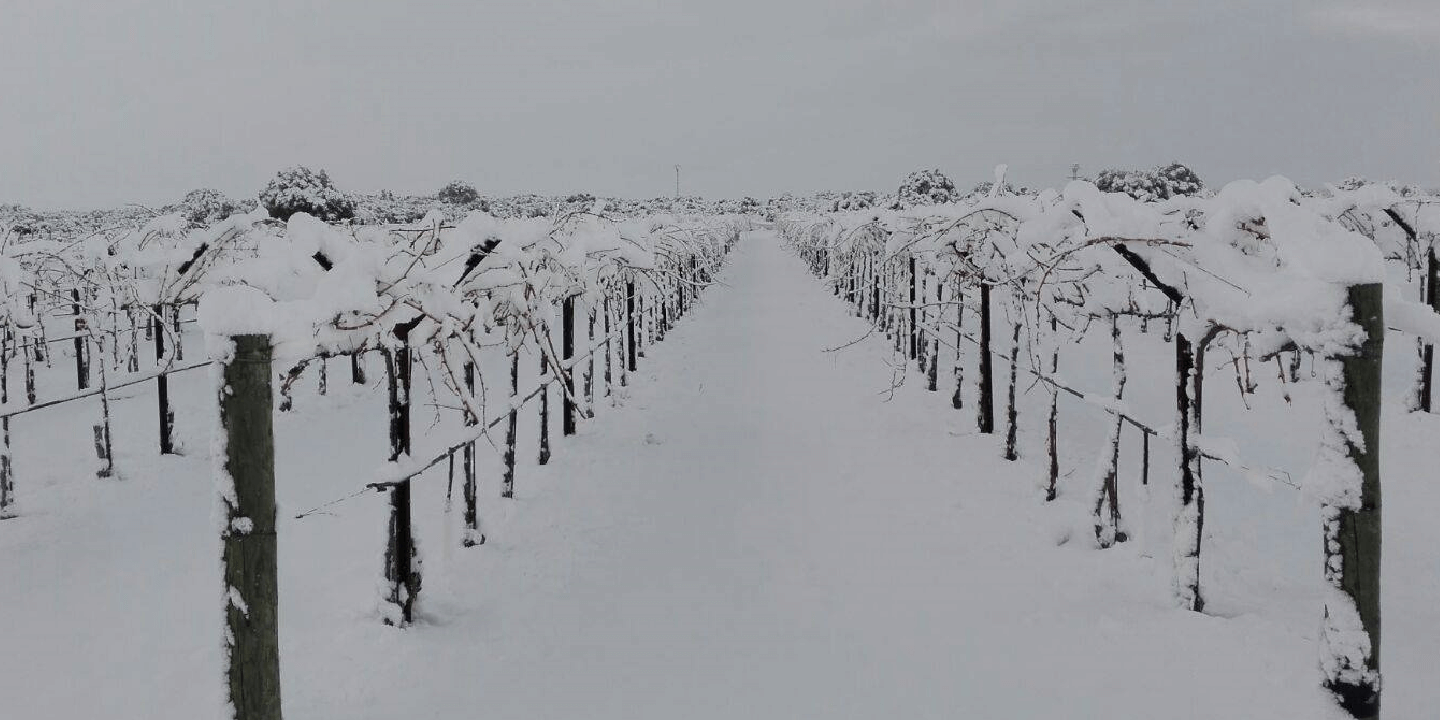 DEHESA DE LUNA - VINO - VINOS - QUIERO DELICATESSEN