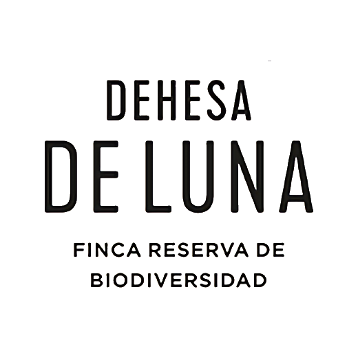 DEHESA DE LUNA - VINO - VINOS - QUIERO DELICATESSEN - BOTELLAS LUNA LUNERA 