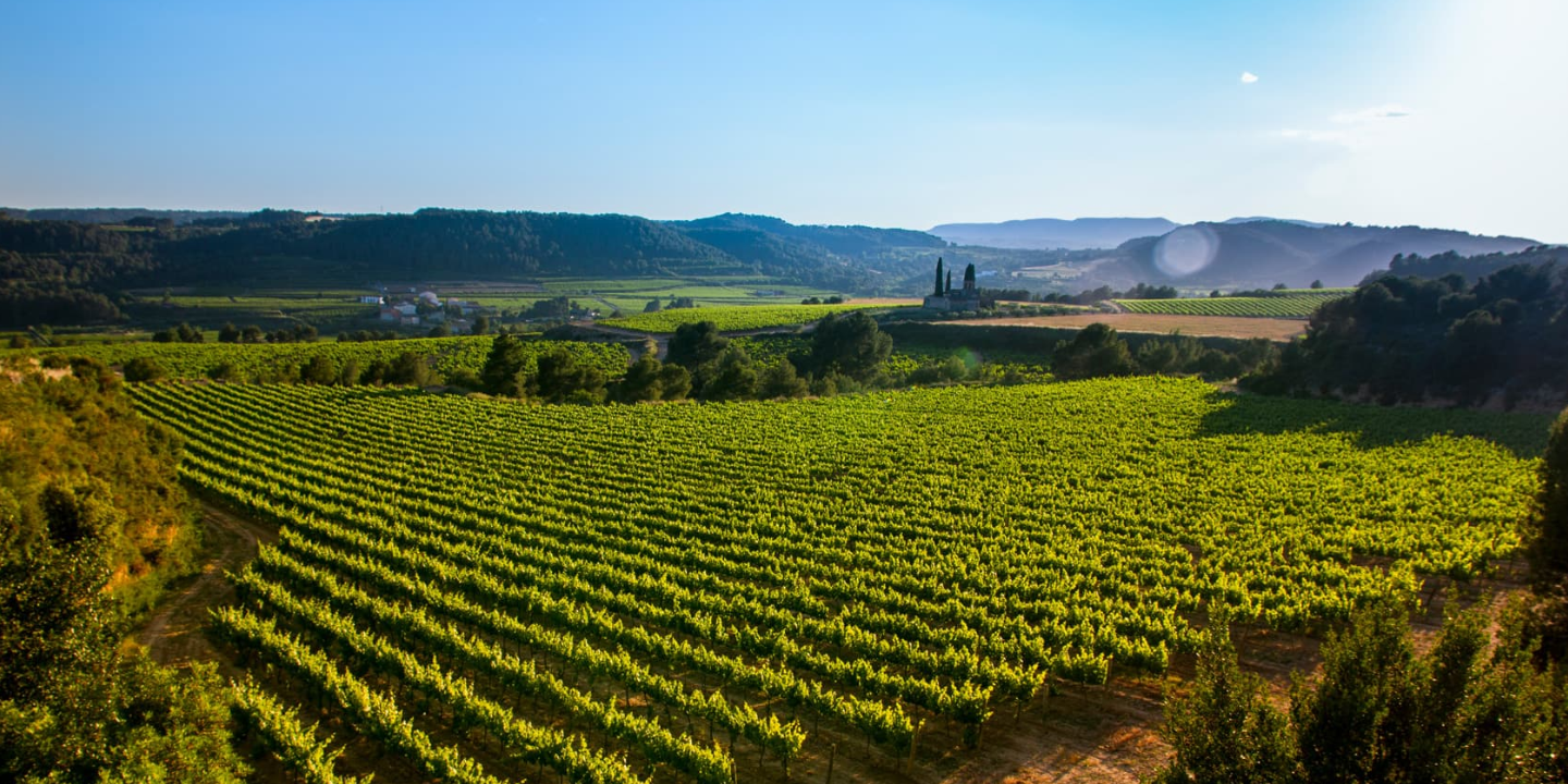 Bodega Sumarroca - Quiero Delicatessen - Villena - Alicante - Brut - Brut Nature