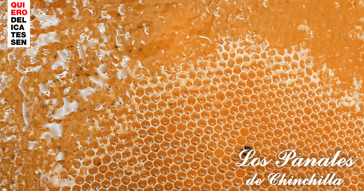 Fotografía donde se ve un panal de abejas. MIEL LOS PANALES DE CHINCHILLA - MIEL - QUIERO DELICATESSEN VILLENA - ALICANTE - MIEL VILLENA - MIEL ALICANTE