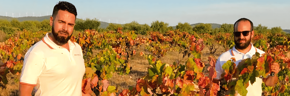 Imagen donde se pueden ver los viñedos de esta bodega. Vinos Bruno y Jose Luis Murciano - Vinos en Quiero Delicatessen - Villena - Alicante - Vino - Vinos - Bobal