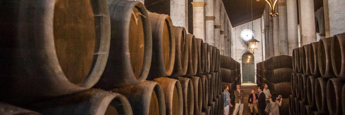 Fotografía de una bodega - vinos fortificados - vinos generosos - vinos de jerez - quiero delicatessen - villena - alicante