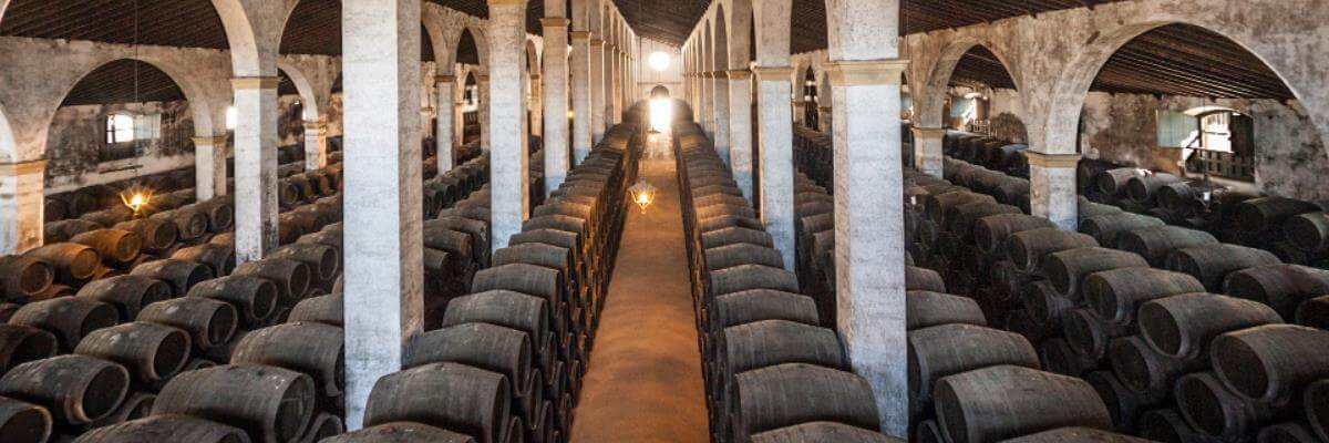 Fotografía de una bodega - vinos fortificados - vinos generosos - vinos de jerez - quiero delicatessen - villena - alicante