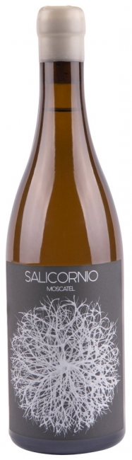 Salicornio Moscatel 2022