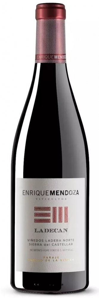 Enrique Mendoza Ladecan 2024